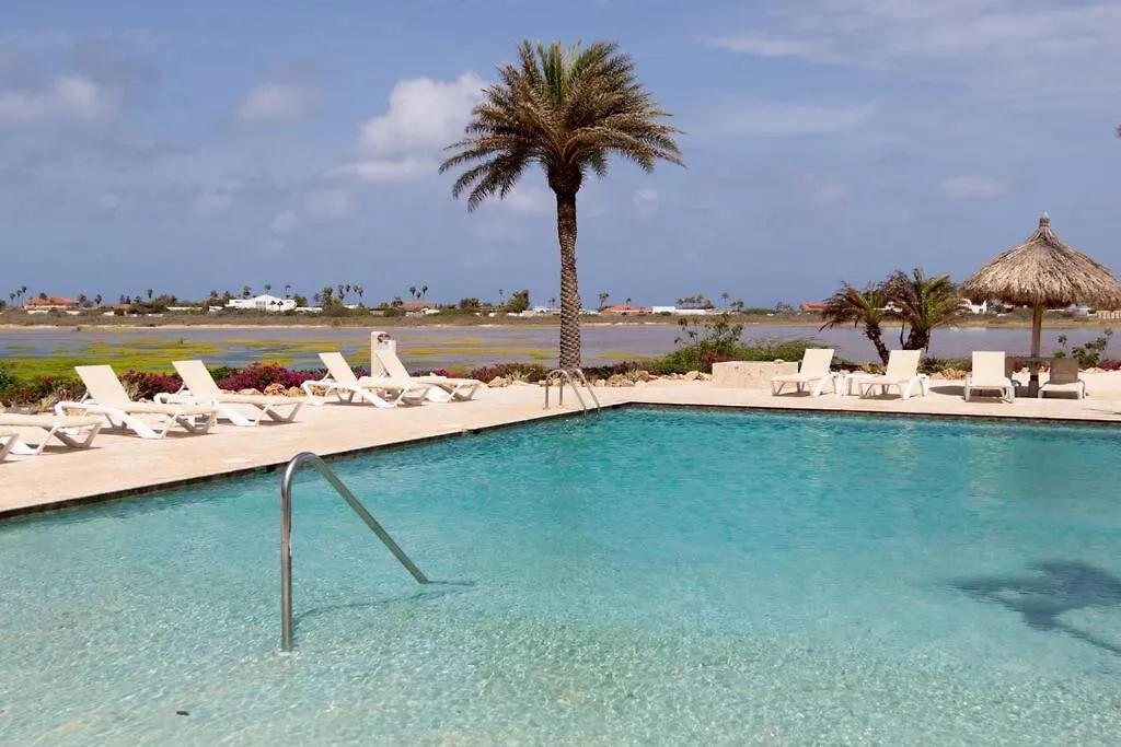 New! Cozy 1 Bedroom Condo- Gold Coast, Noord Aruba Palm Beach Apartment