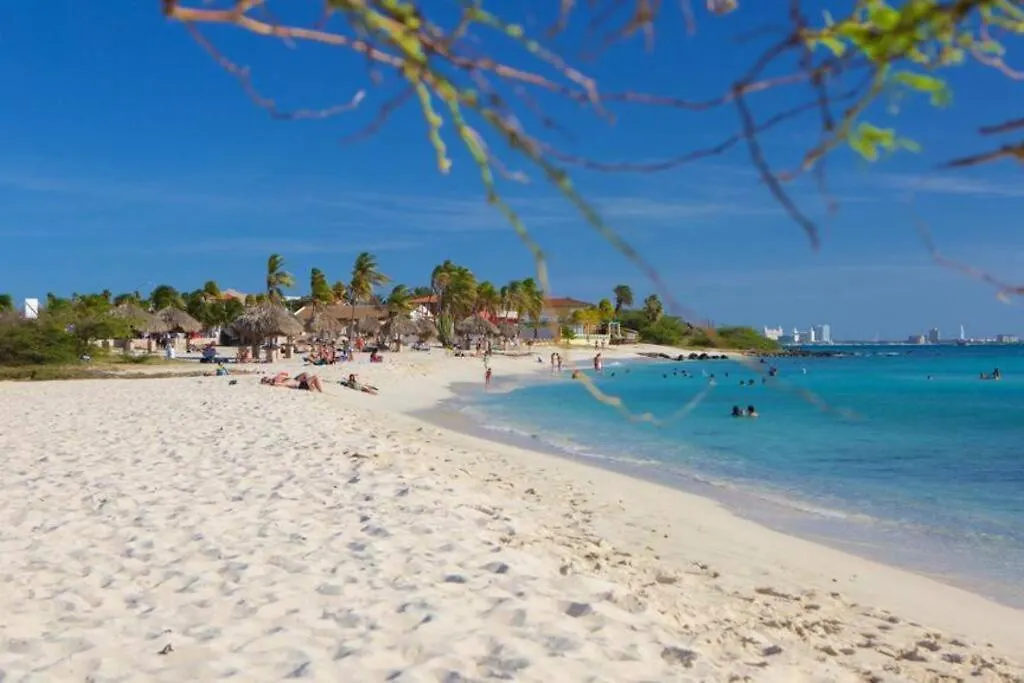 公寓 New! Cozy 1 Bedroom Condo- Gold Coast, Noord Aruba 棕榈滩
